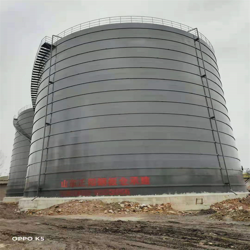 邵东3万吨大型钢板库